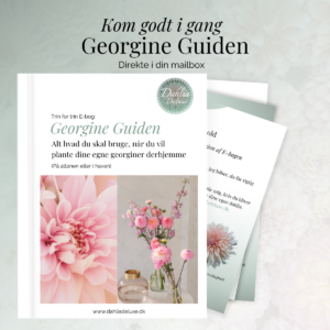 E-bog Georgine Guiden