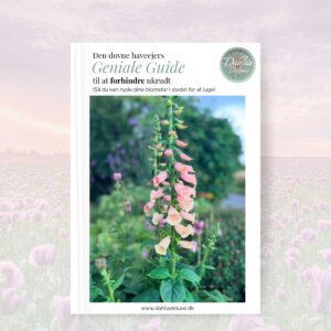 Den Dovne Haveejers Geniale Guide